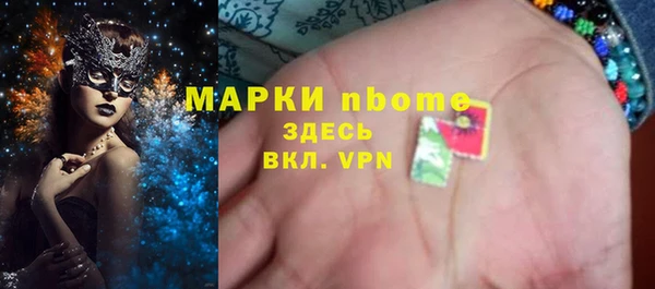 твердый Няндома
