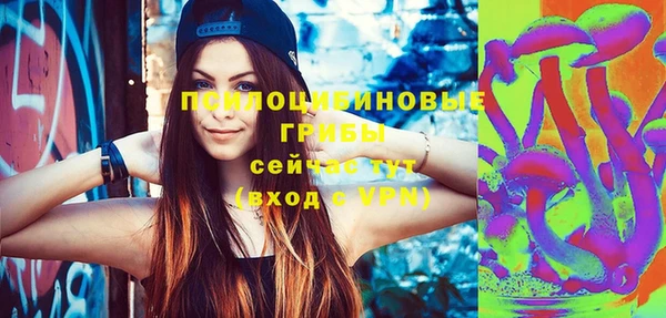 хмурый Армянск